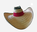 Mexican Hat C/1