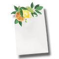 Tarjetas De Lugar De Frutas Citricas C/6