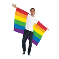 Rainbow Sleeved Flag C/1