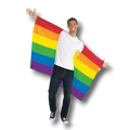 Bandera Con Mangas Rainbow C/1