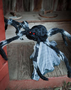 Araña Negra Brincadora C/1