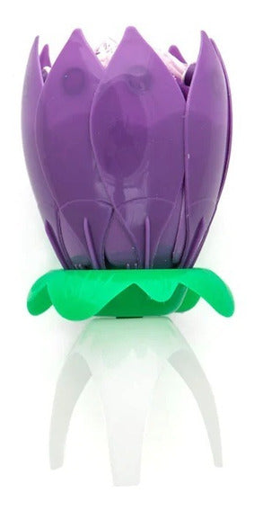 Deluxe Musical Candle C/1
