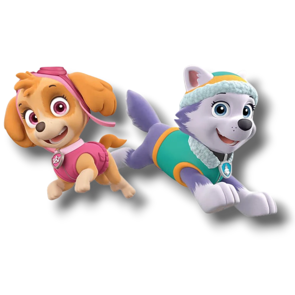 Adorno Movil  Paw Patrol Niña C/1