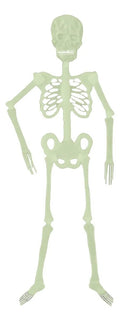 Glossy Plastic Skeleton 120cm