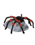 Araña Roja Brincadora C/1