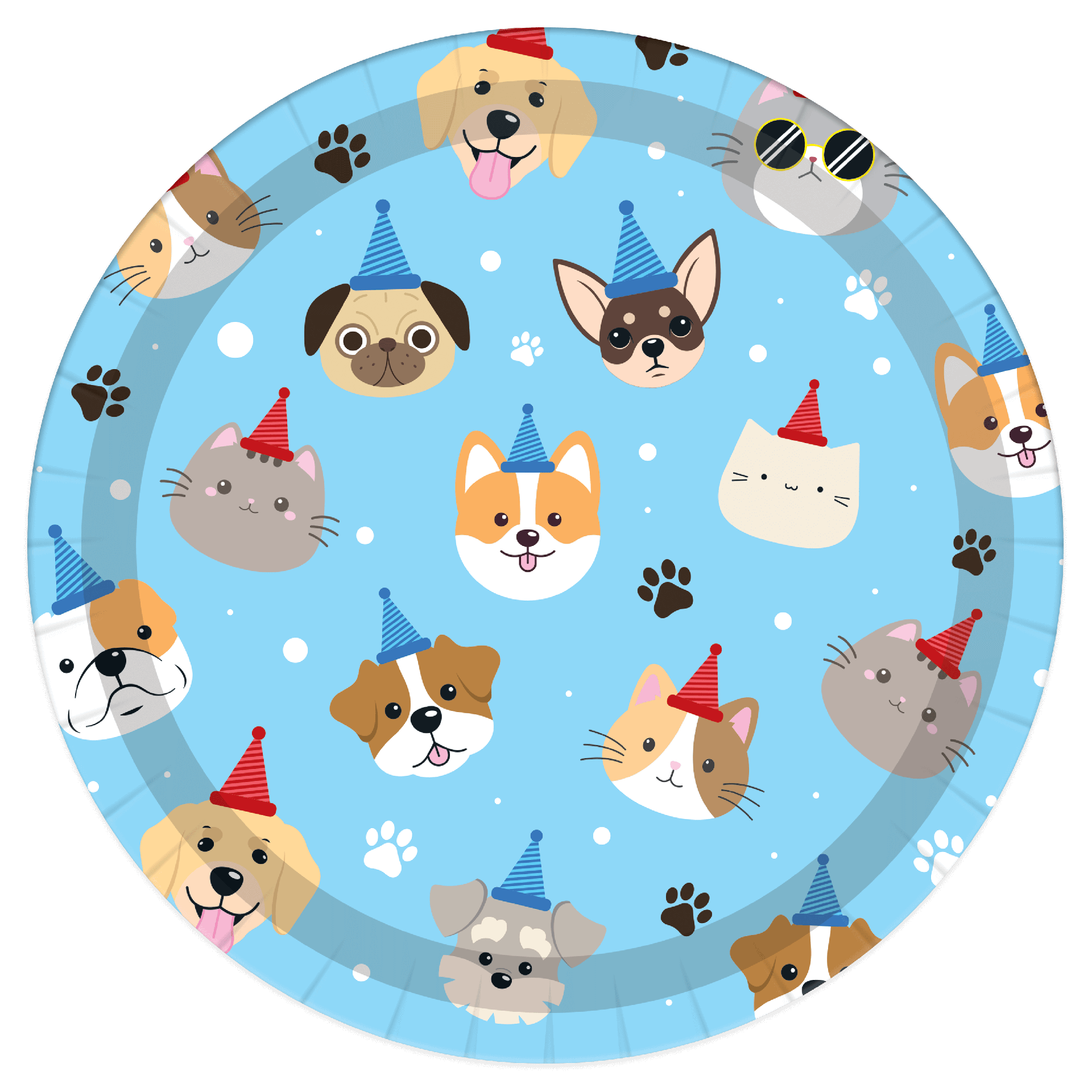 Plato 7" Happy B-Day Pet C/8