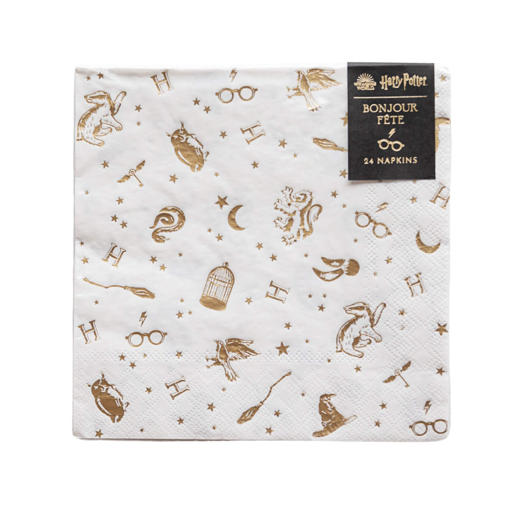 Napkin G Hogwarts / Harry Potter C/24