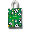 Soccer Paper Bag C/4