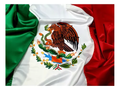 Bandera Mexico CH 43X29.5cm C/1
