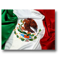 Bandera Mexico CH 43X29.5cm C/1
