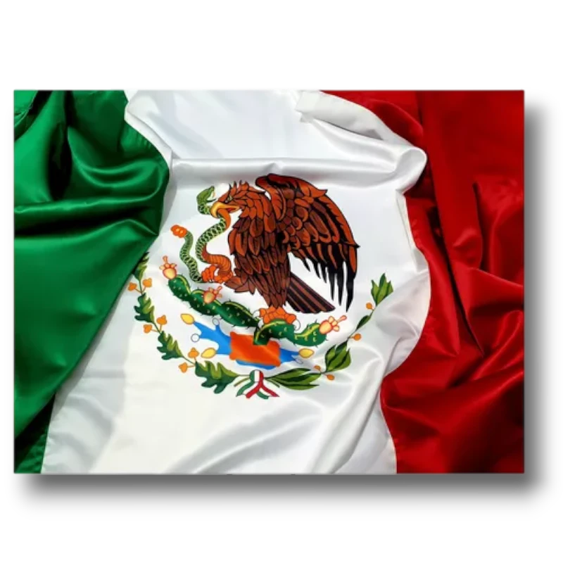 Bandera Mexico CH 43X29.5cm C/1