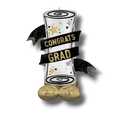 AirLoonz Diploma Graduacion C/1