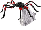 Araña Roja Brincadora C/1