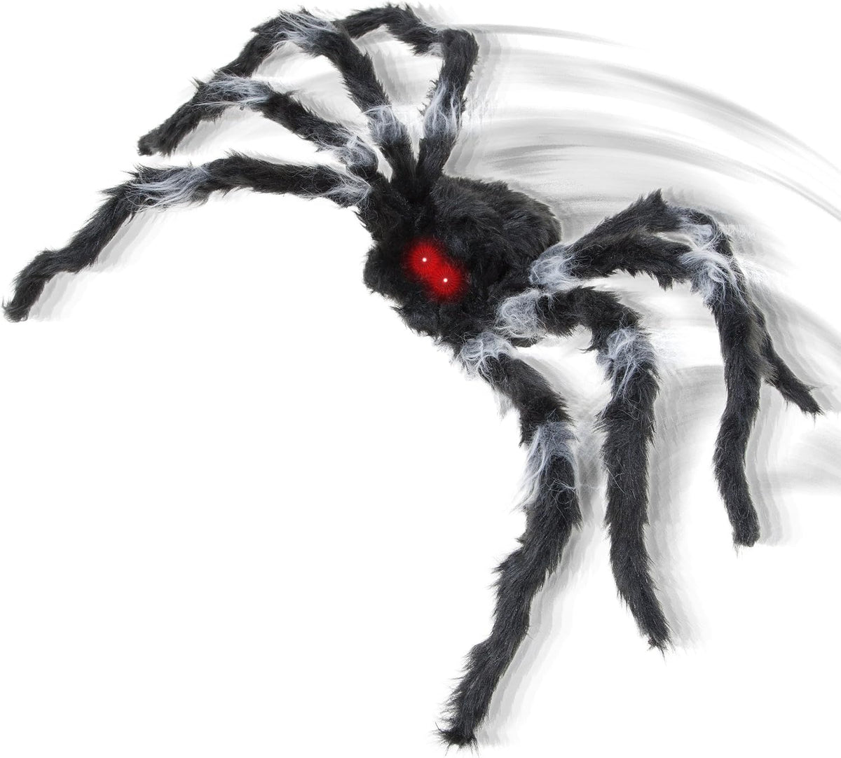 Araña Negra Brincadora C/1