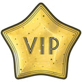 Plate 9" Awards Night "VIP" Star C/20