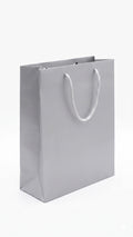 Bolsa De Regalo Mediana Plata C/1