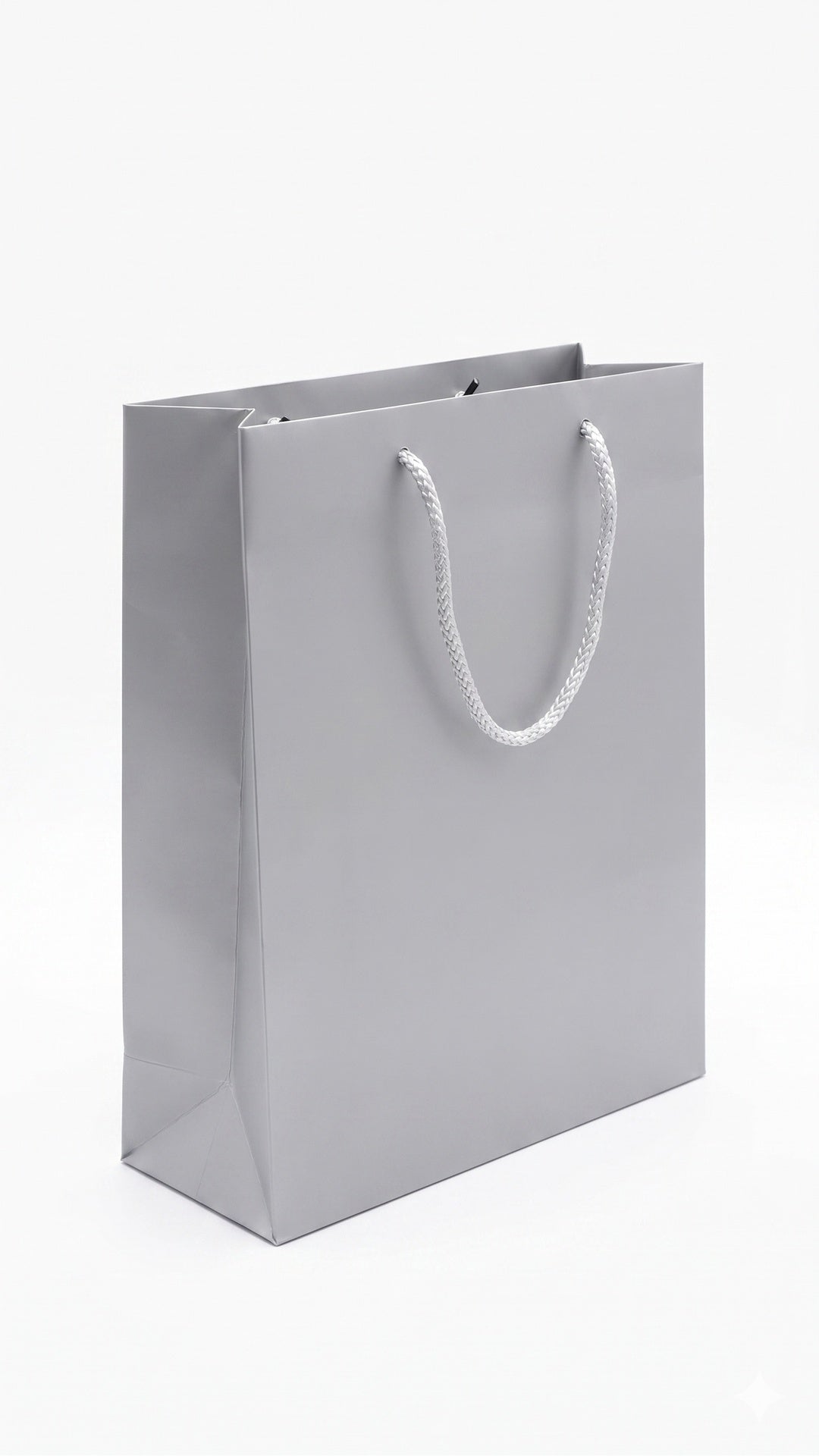 Bolsa De Regalo Mediana Plata C/1