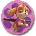 Globo 18" Paw Patrol Sky C/1