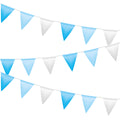 Turquoise Blue Pennant C/1