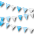 Turquoise Blue Pennant C/1