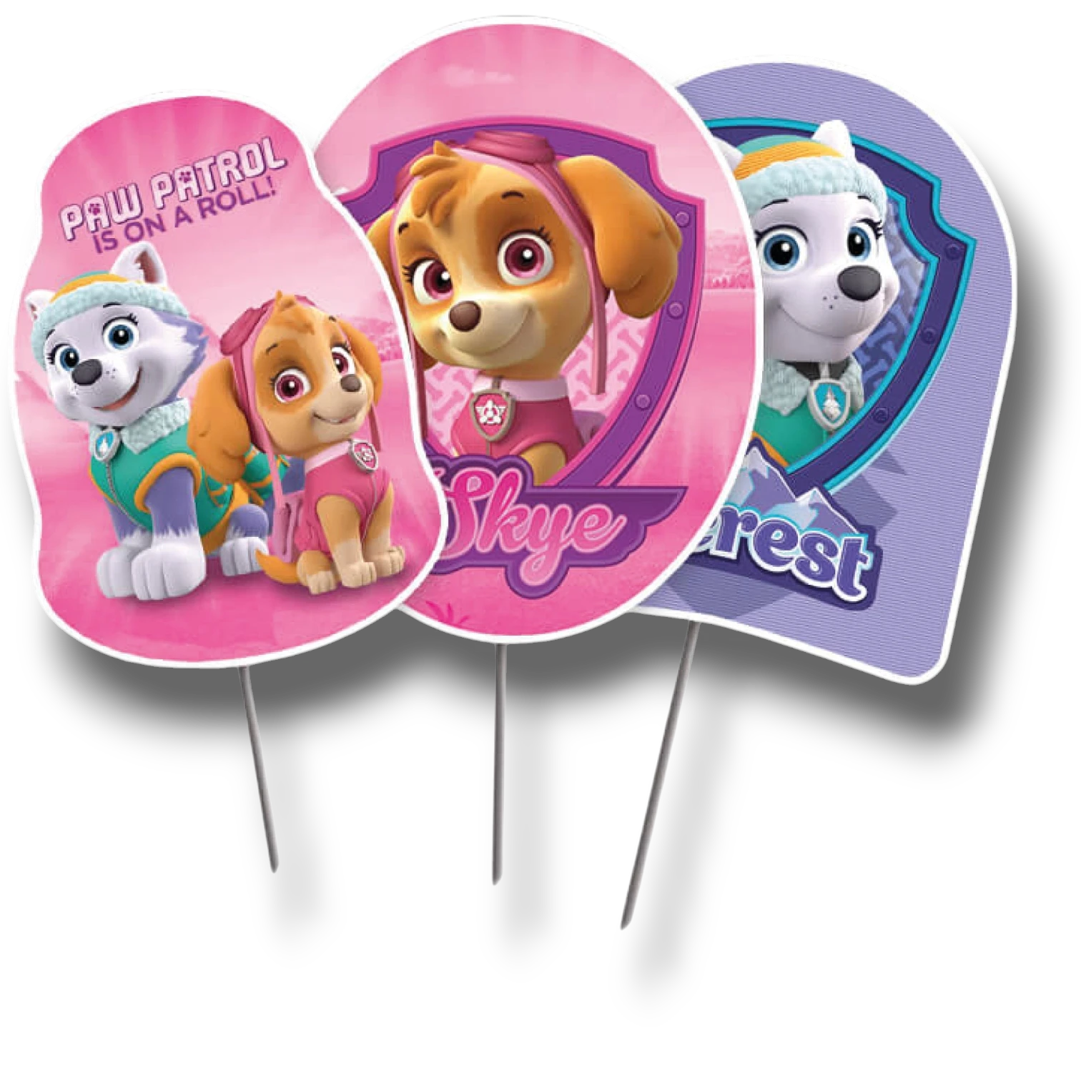 Paw Patrol Girl Topper C/12