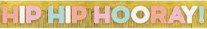 Banner Gigante Hip Hip Hooray Brillante C/1