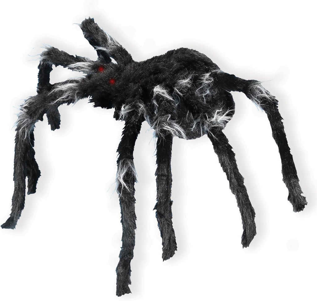 Araña Negra Brincadora C/1