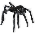 Araña Negra Brincadora C/1