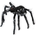 Araña Negra Brincadora C/1
