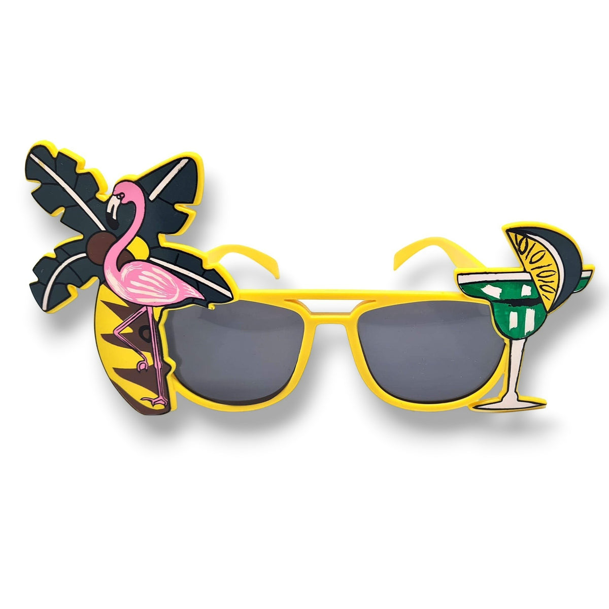 Beach Sunglasses C/1