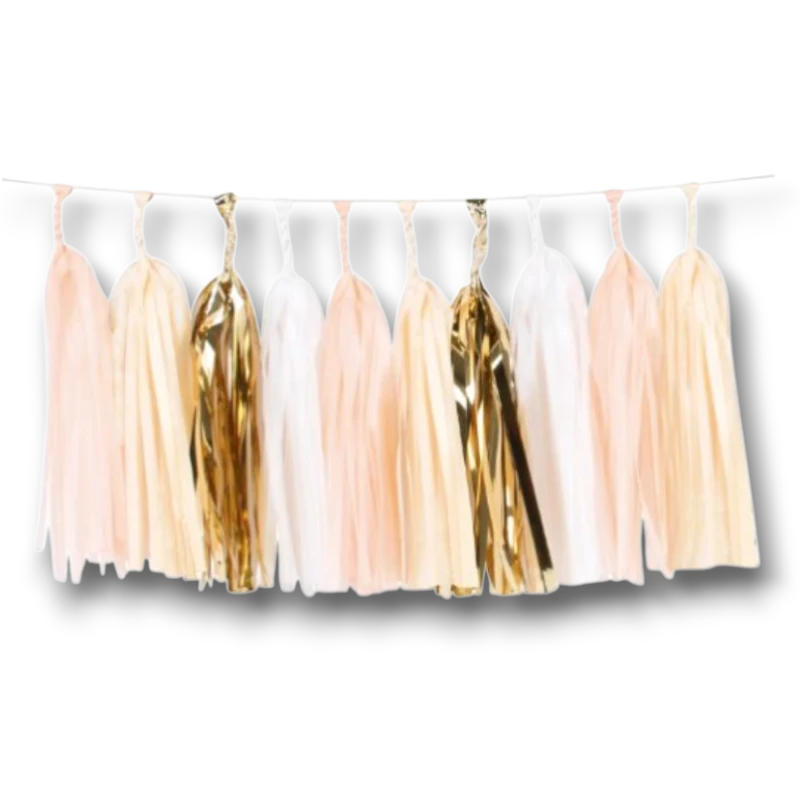 Light Pink Pom Pom Garland C/1
