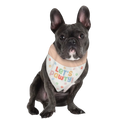 Bandana Para Perro C/1