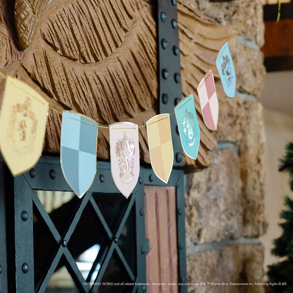 Banner Hogwarts / Harry Potter C/1