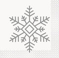 CH Silver &amp; Gold Holiday Napkin C/16