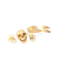 Skeleton Garden C/1