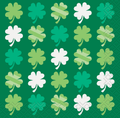 Servilleta CH Lucky St Patrick C/16