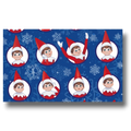 Christmas Elf Wrapping Paper C/1