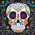 Servilleta G Day Of The Dead Skull C/24