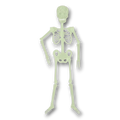 Esqueleto de plástico PartyStore de 120 cm que brilla en la oscuridad para decoración de Halloween