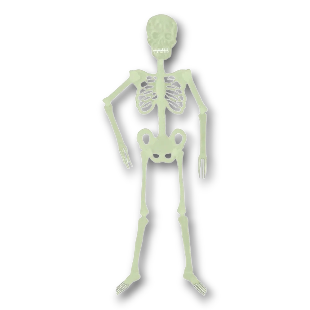 Esqueleto de plástico PartyStore de 120 cm que brilla en la oscuridad para decoración de Halloween